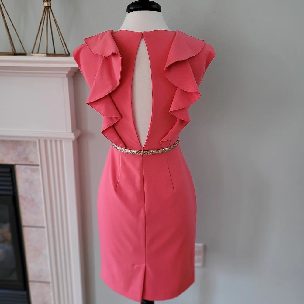 SOLD✅️CK☆Coral Sheath Dress - Picture 3 of 7